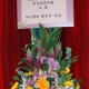 DSC (1012)